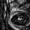 The Face
